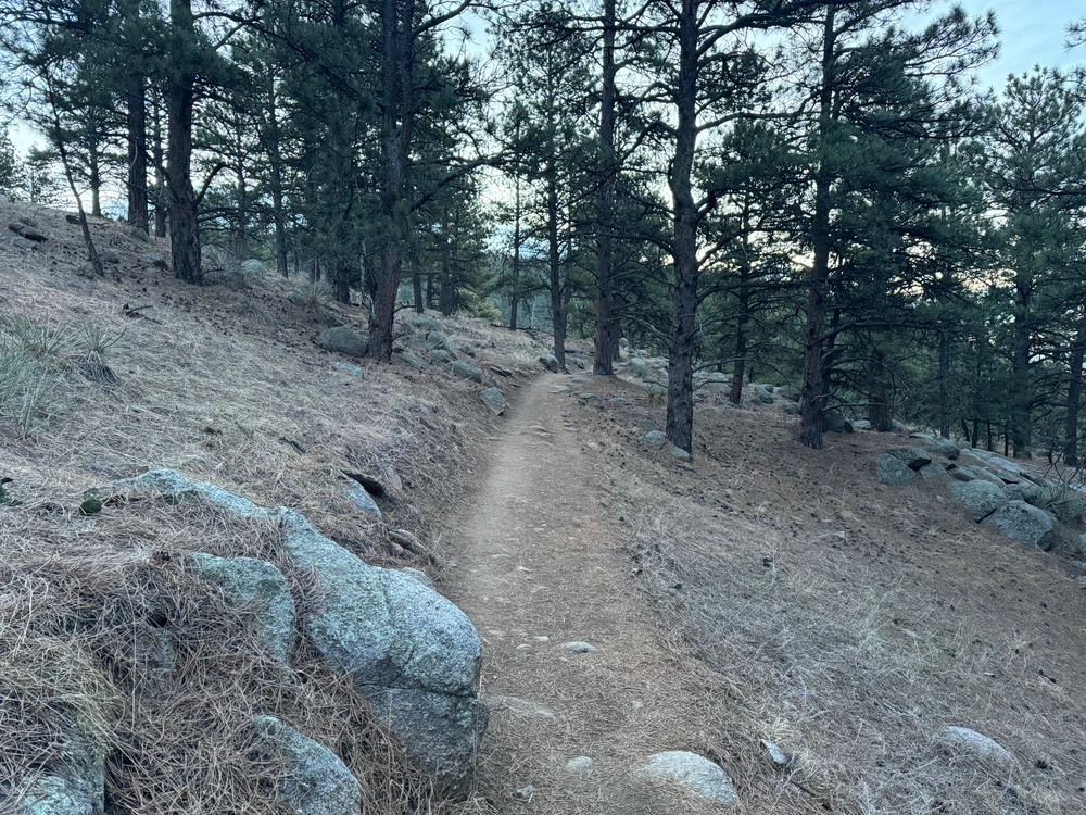 A pristine dirt trail. Taken March 2024