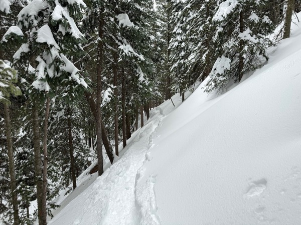 ⛄️ Ceran Saint Vrain Trail Snow Shoeing (2024.03.17) | ䷷ Blake Merryman